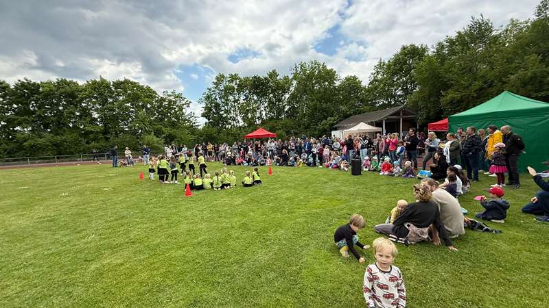 sofest2025 09